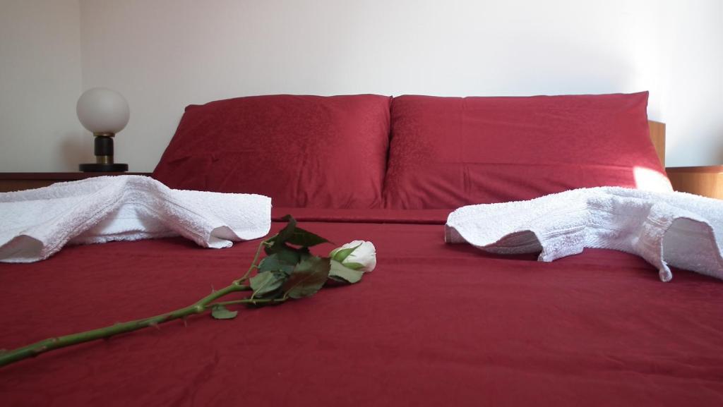 Nasa Tvrdava Guest Accommodation Novi Sad Room photo